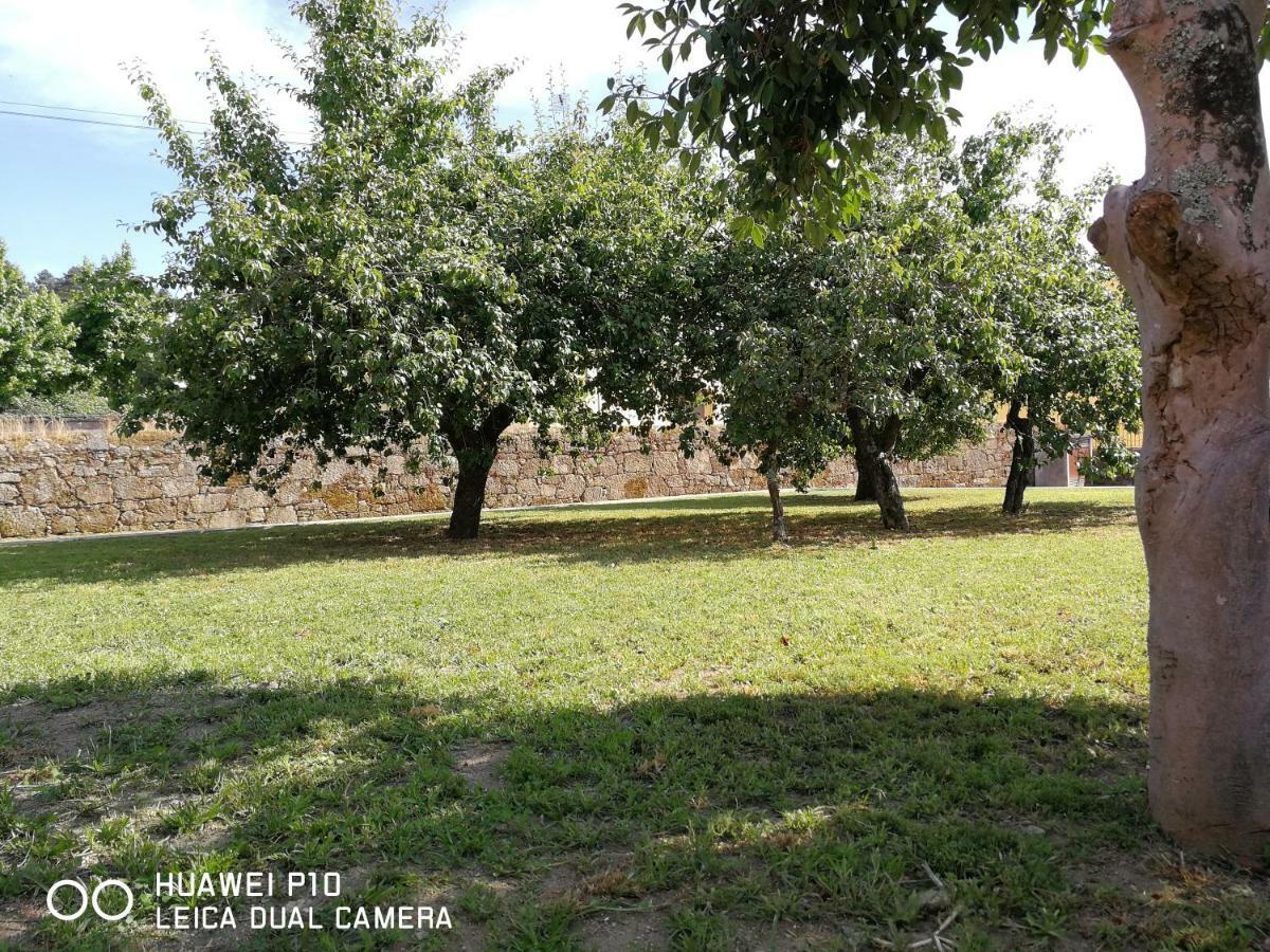 Casas Marias De Portugal - Cerveira Leilighet Vila Nova de Cerveira Eksteriør bilde
